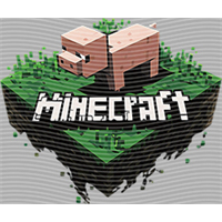 Minecraft-MN 16